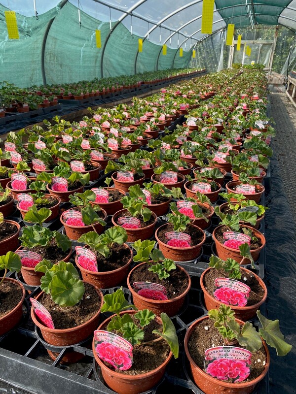 The New Blendworth Centre tunnels
